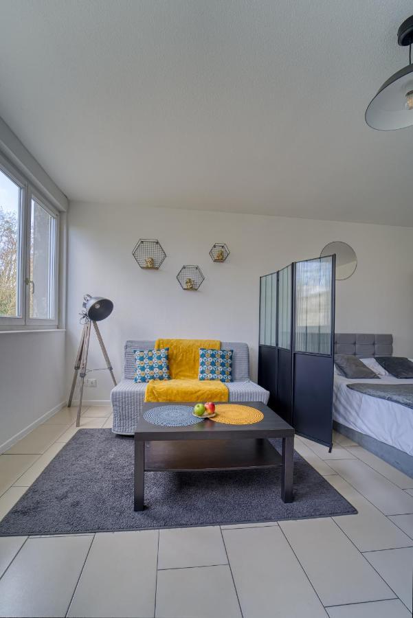 Le Muse Quartier Ville Proche Transport Parking Prive Un-Sejour-A-Part Metz Bagian luar foto